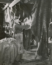 Etats-Unis, tannage des peaux