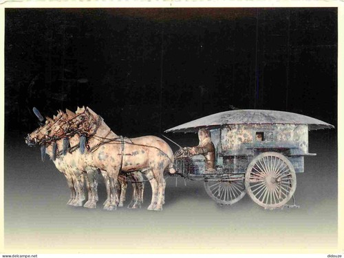 Carte postale animaux - carte,