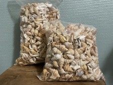 Énorme ( 2,94 Kilos ) Gros Lot De Coquillages Pour Creations / Artisanat Deco 