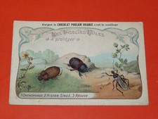 CHROMO 1900-1920 CHOCOLAT