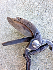 ANCIEN SECATEUR A GREFFER -