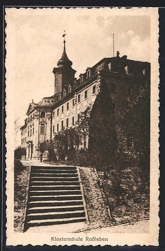 Vie cheval école - vie, cheval,