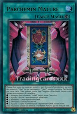 Yu-Gi-Oh! Parchemin Mature : UR MP25-FR166