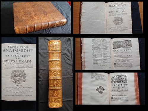 1732 exposition anatomique - 1732,