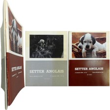 Lot de 2 n° Club du Setter anglais laverack n°30 - 31 1986 chien d'arrêt chasse