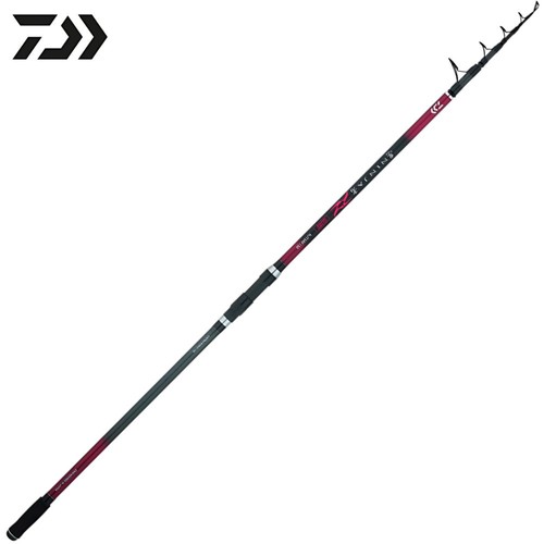 Canne pêche daiwa - canne, à