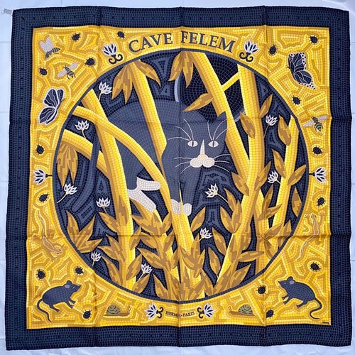 écharpe soie hermes carre - Écharpe, en