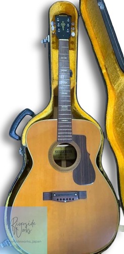 Kasuga 100 vintage acoustic - f-100,