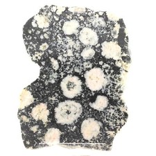 Diorite Orbiculaire. 2162.20