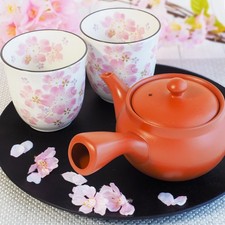 Théière japonaise Starter
