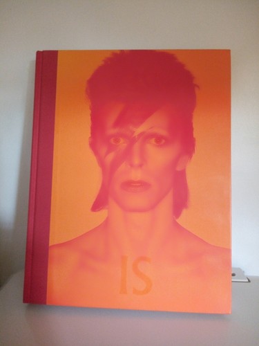 David bowie livre - david, is