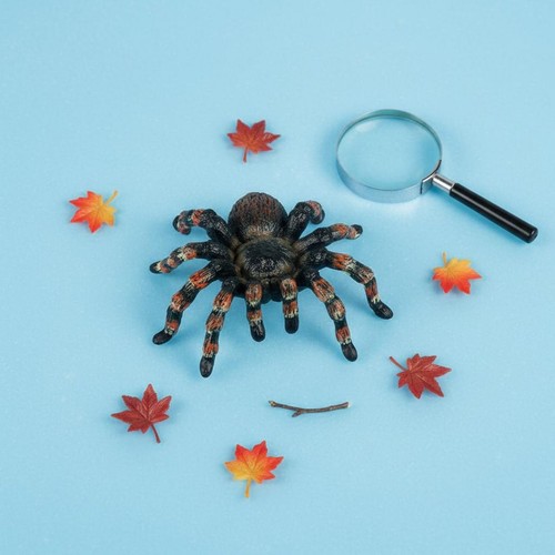 Jouet insecte plastique - jouet,