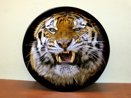Cache roue secours tiger - cache,