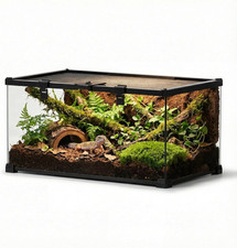 20"X12"X10" Mini Reptile Glass