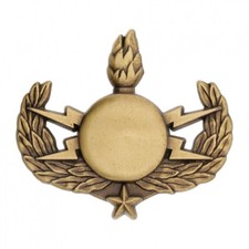 VERITABLE INSIGNE BREVET NEDEX