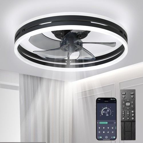 Ventilateur plafond - ventilateur, de