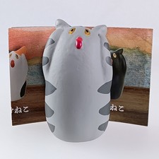 Chat écaille de tortue -