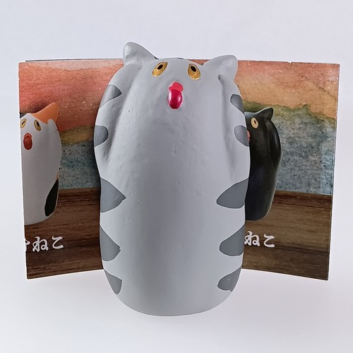 Chat écaille tortue - tortue,