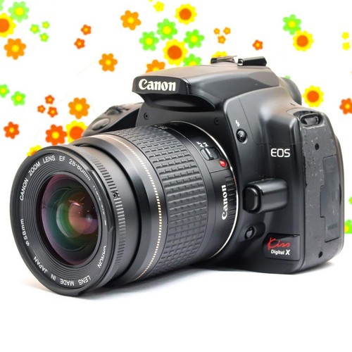 Appareil photo reflex
