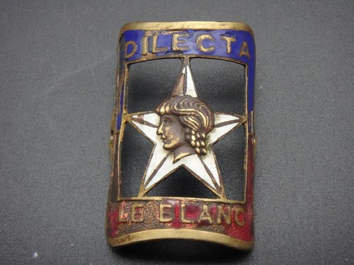 Head badge plaque - badge,