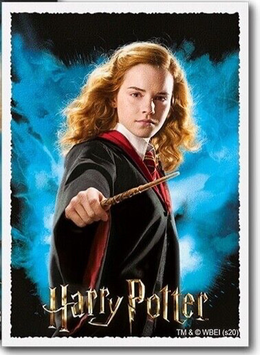Single sleeve hermione - 1,