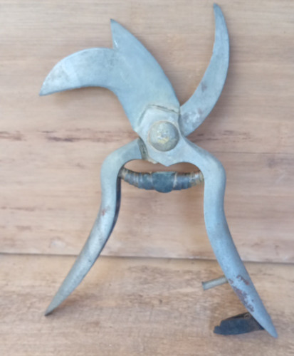 Ancien outil secateur - ancien,