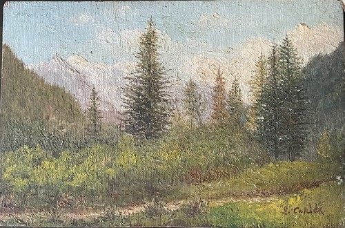 Vue mont blanc depuis - mont,