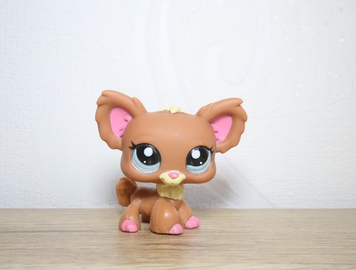 Littlest petshop chihuahua - petshop,