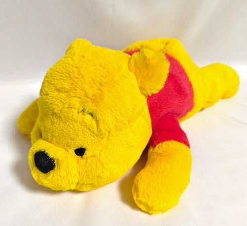 Tokyo disneyland winnie the - tokyo,