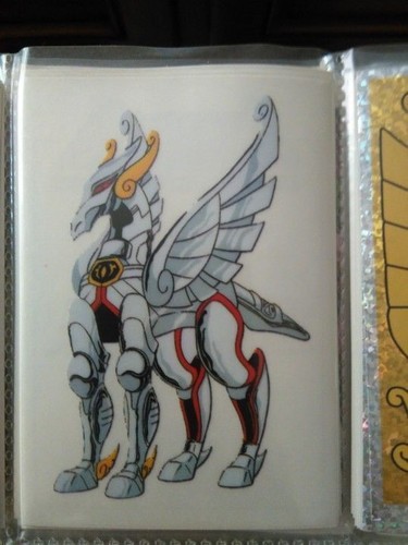Saint seiya caballeros - saint, del