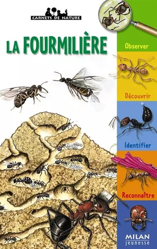 Fourmilière anne eydoux - fourmilière,