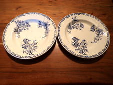 2 Assiettes  creuses FAIENCE TERRE DE FER MODELE IRIS