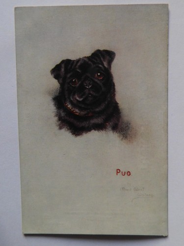 Cpa illustree chien carlin pug - illustree,