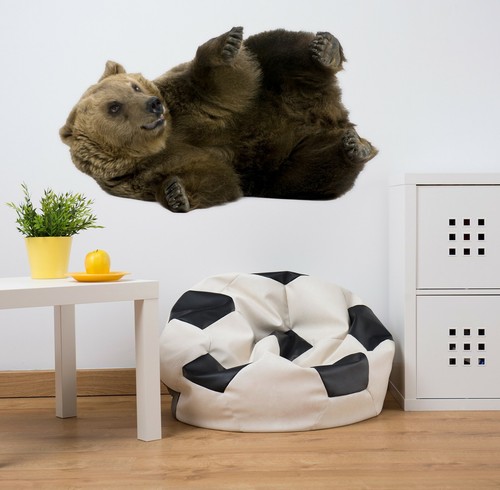Ours brun c30 animal - c30, papier