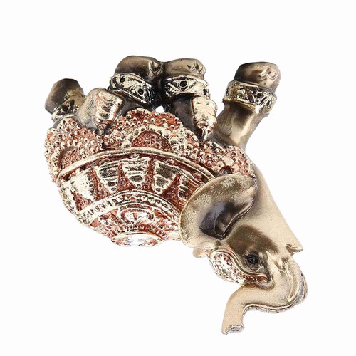 Lucky feng shui golden - lucky,