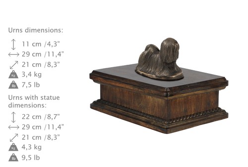 Lhasa apso chien lion - lhasa, urne