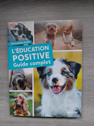 éducation positive chien - l'éducation,