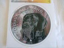 1 autocollant - motif chien  DOGUE ALLEMAND NOIR oreilles non coupées