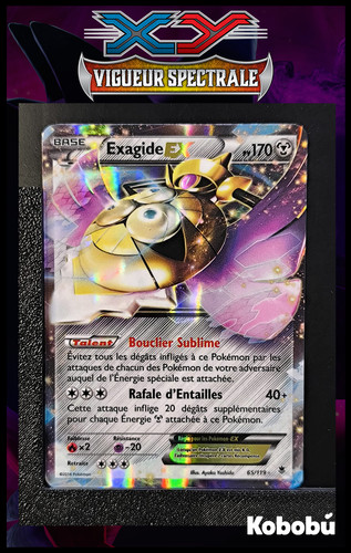 Carte pokémon exagide - carte,
