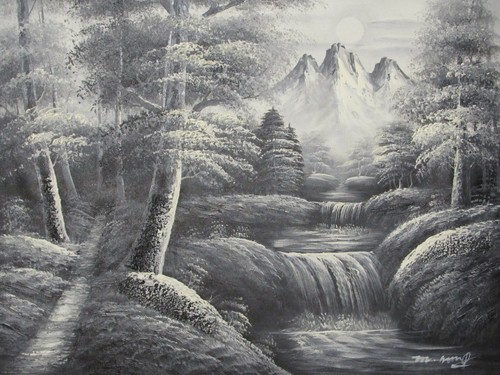 Forêt arbres paysage bois - arbres,