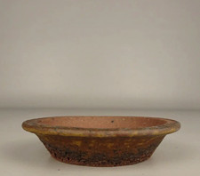 Pot à bonsaï japonais