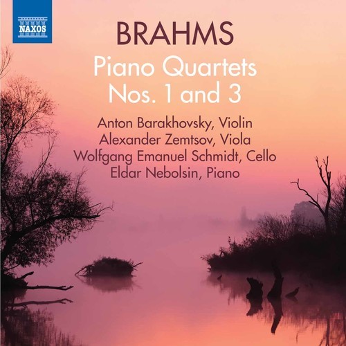 Brahms barakhovsky - brahms,