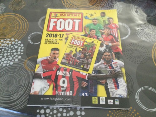 Album panini foot - album,