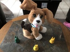 🐶🐕🐶 JOUET CHIEN