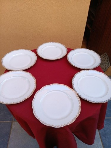 Lot assiettes plates - assiettes,