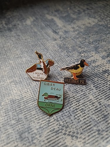 Lot pins chasse canard - lot, 3