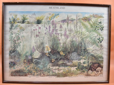Affiche publicitaire XXème - Heathland Plantes Bruyères Flore Champignons