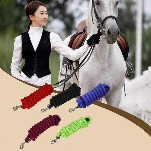 Longe pour chevaux longue - pour, chevaux,