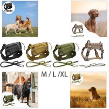 Harnais pour chien Harnais