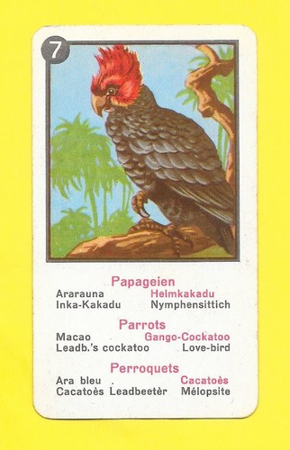 Carte allemande perroquets - carte,